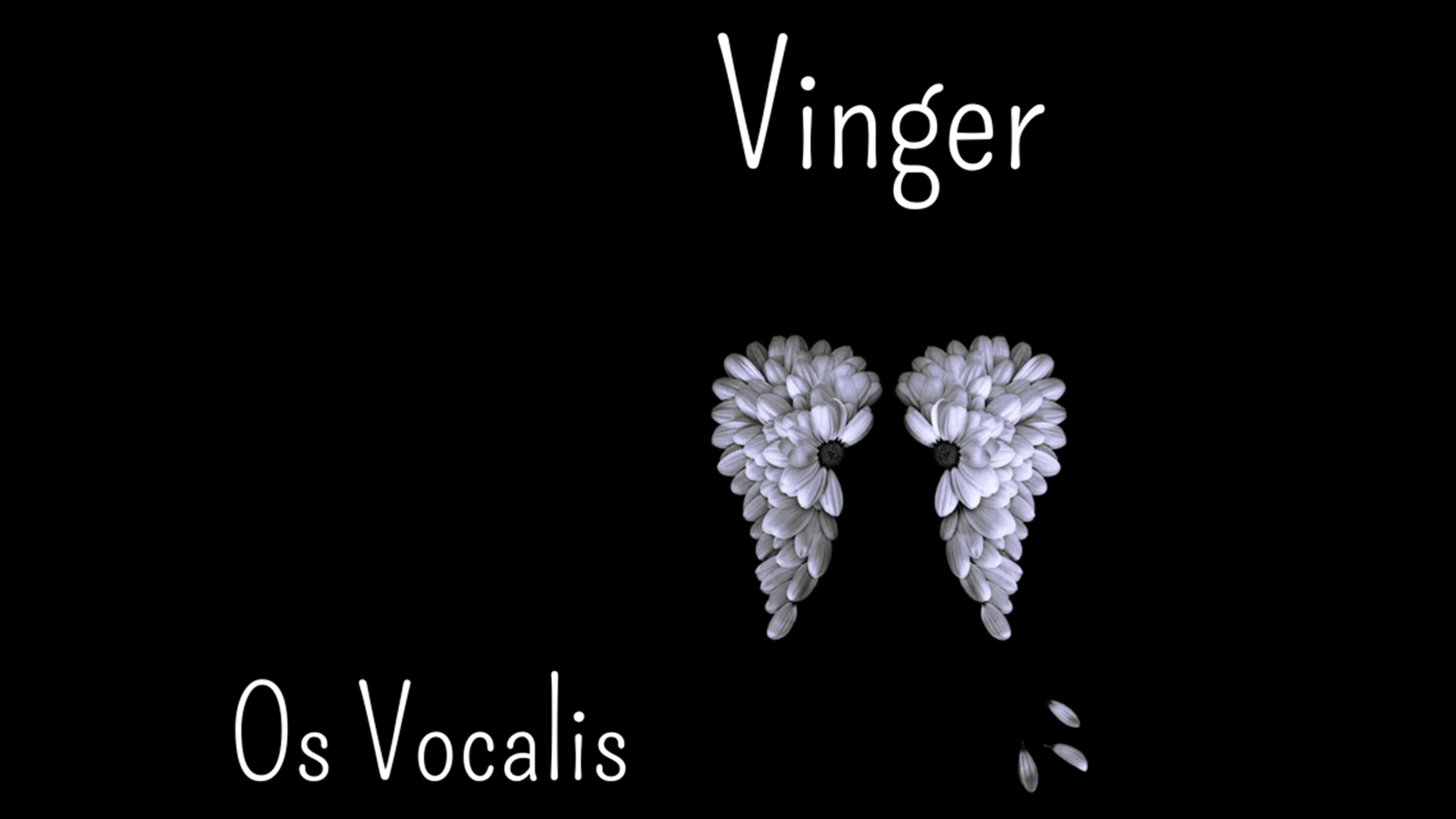Vinger – Os Vocalis og dirigent Ørjan Hartveit