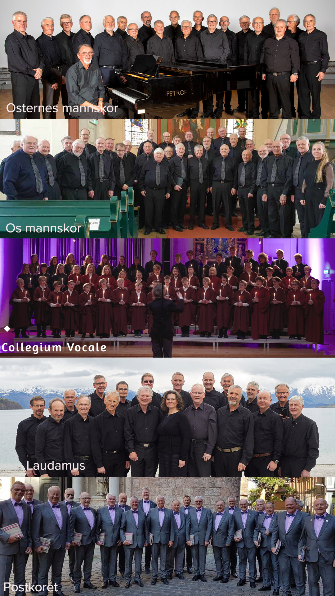 Mannskorkonsert