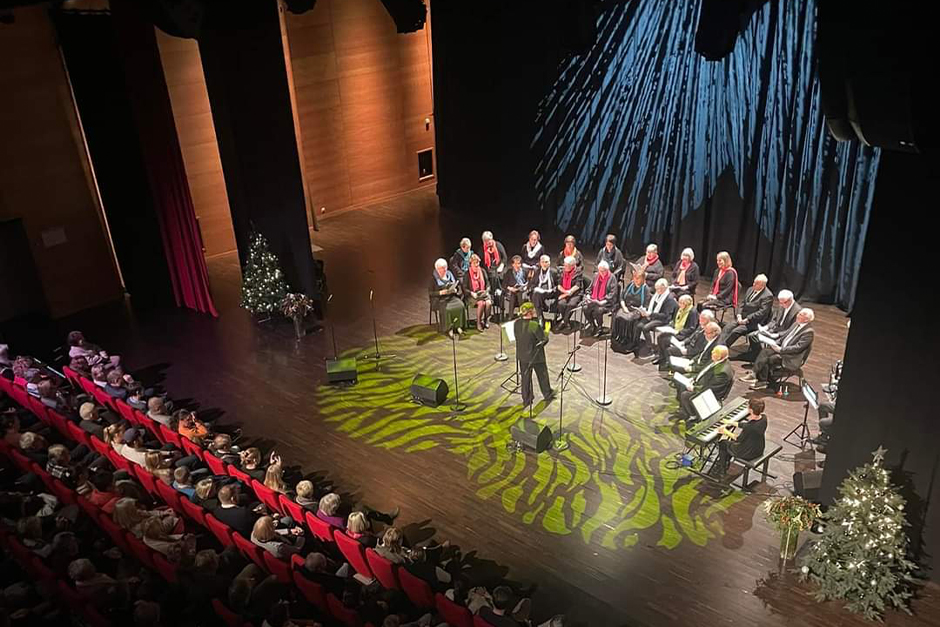 Bjørnafjorden Demenskor m/gjestar